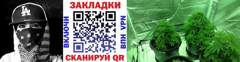 Наркошоп купить LSD-25  Мефедрон  Cocaine  ГАШ  Канабис  А ПВП  Ртищево