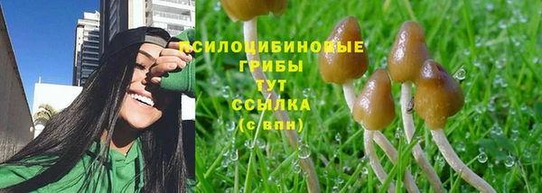 скорость Карталы
