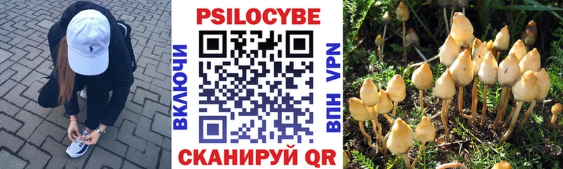 Галлюциногенные грибы Psilocybine cubensis  Купить где  Ртищево 